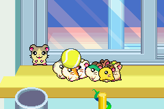 screenshots/Game Boy Advance/Hamtaro - Rainbow Rescue/Hamtaro - Rainbow Rescue (Eng) 112.png